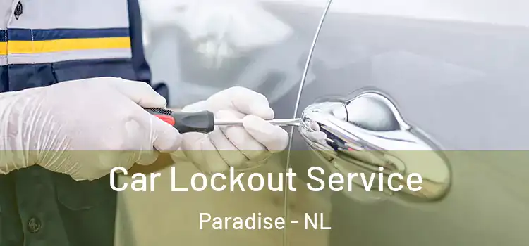 Car Lockout Service Paradise - NL