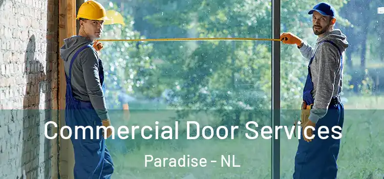 Commercial Door Services Paradise - NL