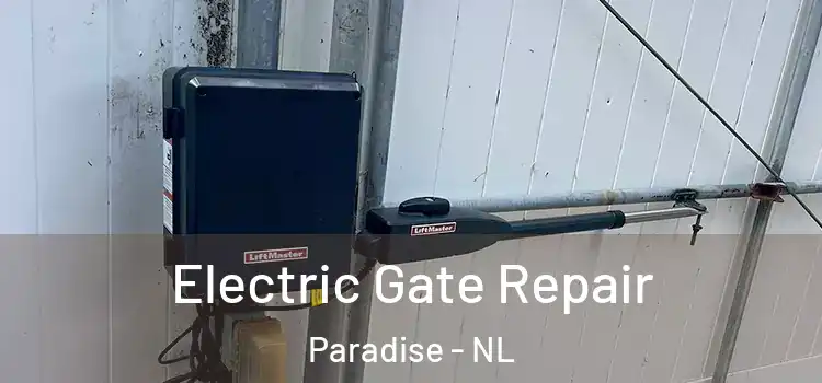 Electric Gate Repair Paradise - NL