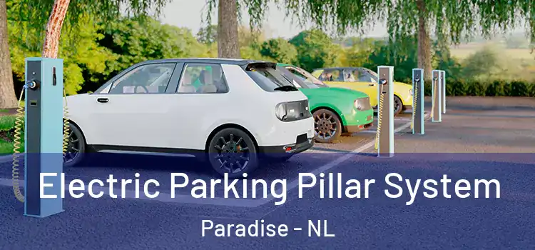 Electric Parking Pillar System Paradise - NL