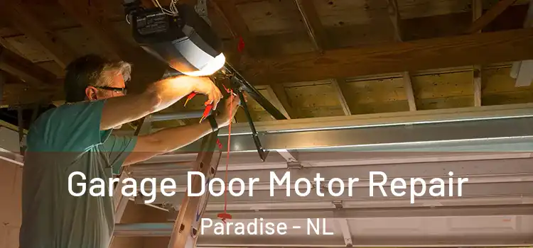  Garage Door Motor Repair Paradise - NL