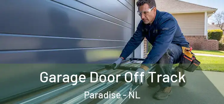  Garage Door Off Track Paradise - NL