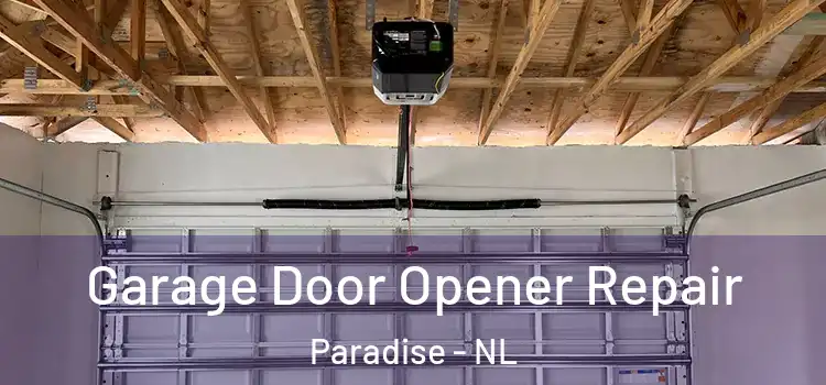  Garage Door Opener Repair Paradise - NL