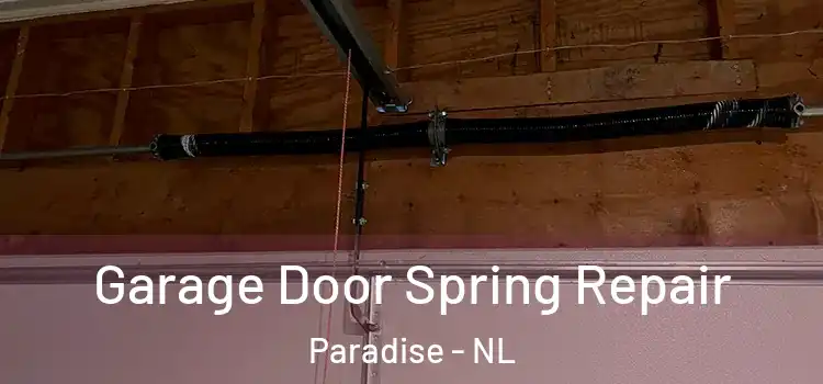  Garage Door Spring Repair Paradise - NL