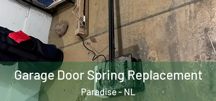  Garage Door Spring Replacement Paradise - NL