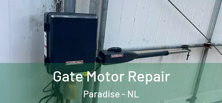 Gate Motor Repair Paradise - NL