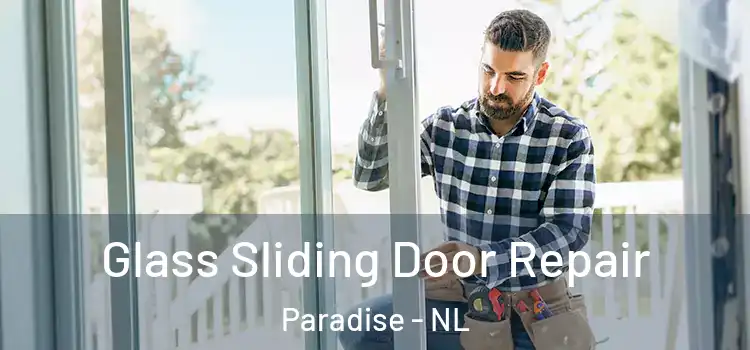 Glass Sliding Door Repair Paradise - NL