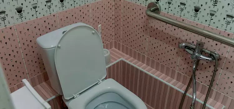 Meeting Diverse Needs With Accessible Restroom Solutions in Paradise, NL