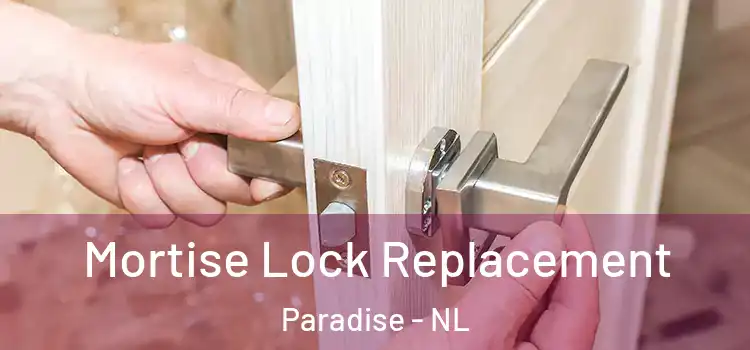  Mortise Lock Replacement Paradise - NL